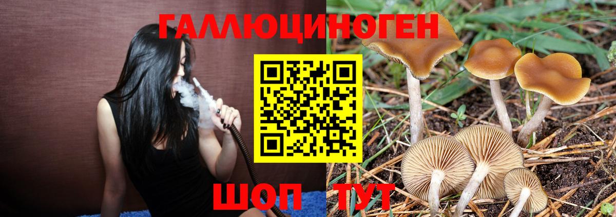 Рузаевка  Галлюциногенные грибы Magic Shrooms  Вход с VPN  Галлюциногенные грибы Psilocybe 